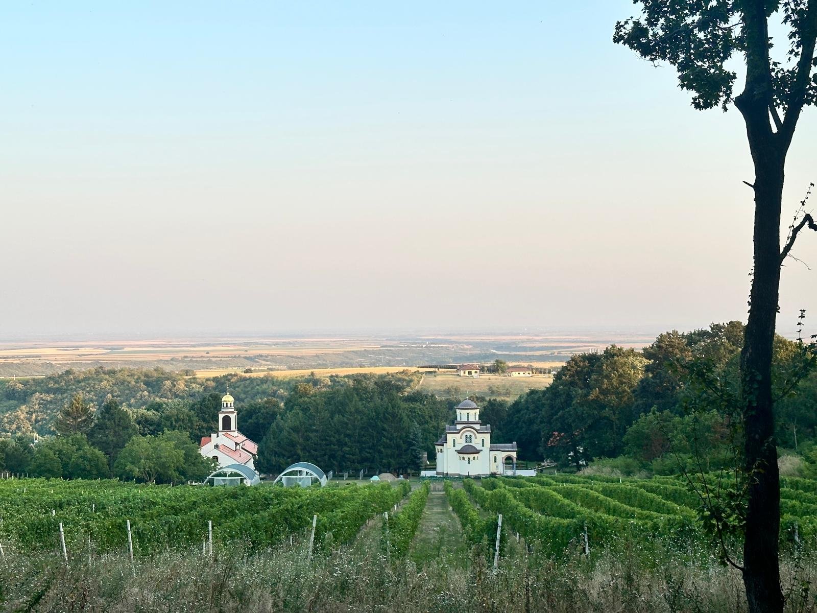 The forested ridge of Fruska Gora rising from the Vojvodina plain