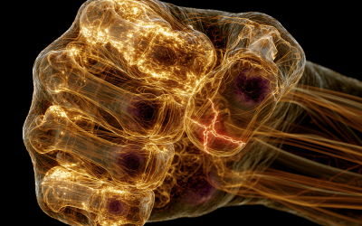 fitmyth_futuristic_medical_scan_visualization_43_format_artis_6a94769f-e7d6-4aaf-ad7a-a33fae4ebf87_3